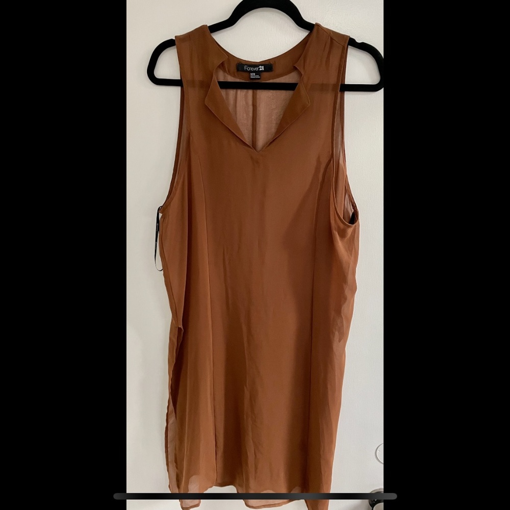 Sheer Taupe Dress